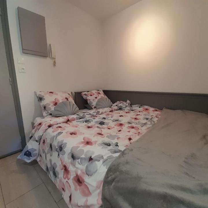 Petit Paradis Classe 3 Etoiles A 200M De La Plage! Terrasse-Wifi-Parking-Clim Сен-Мандрие-сюр-Мер Экстерьер фото